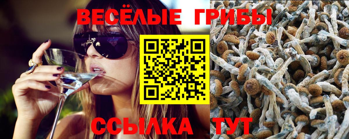 Марихуана  МЕТАМФЕТАМИН  Меф МЯУ МЯУ   Экстази  Невинномысск  МЕФ   APVP СК   Гашиш  Cocaine  Амфетамин кристаллы 