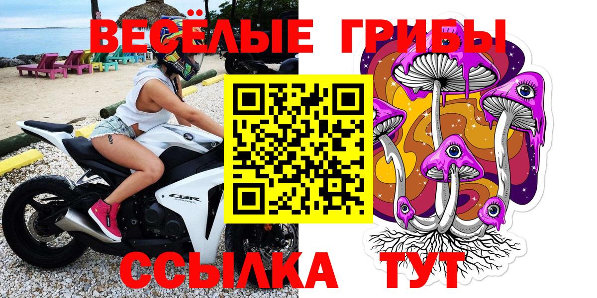 ГАШ Невинномысск