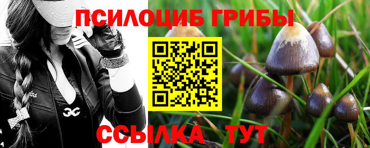 Галлюциногенные грибы мицелий  сколько стоит  Невинномысск  Вход с VPN 