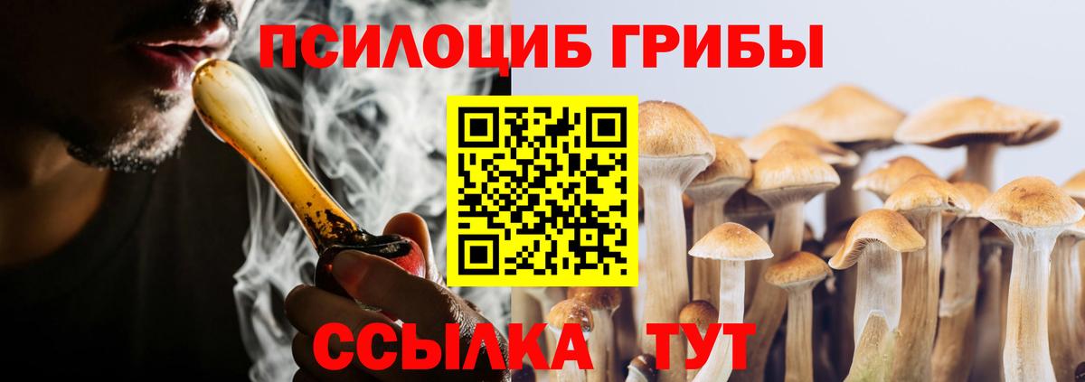Псилоцибиновые грибы Cubensis  Невинномысск 