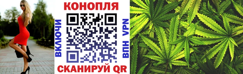 продажа наркотиков Невинномысск Канабис конопля